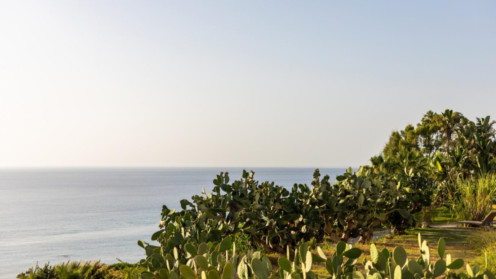 Vista sul mare con cactus e vegetazione tropicale.
