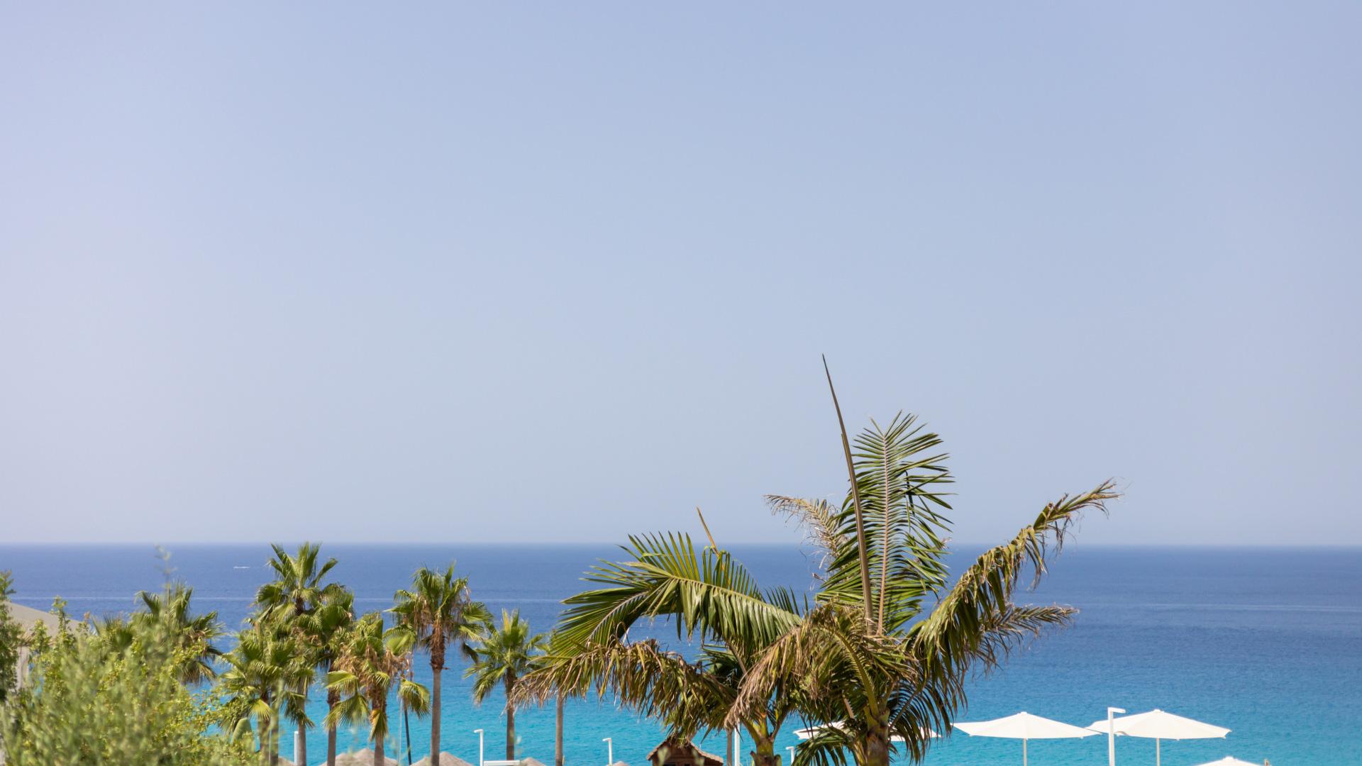 Palme e ombrelloni bianchi vicino al mare azzurro sotto un cielo limpido.