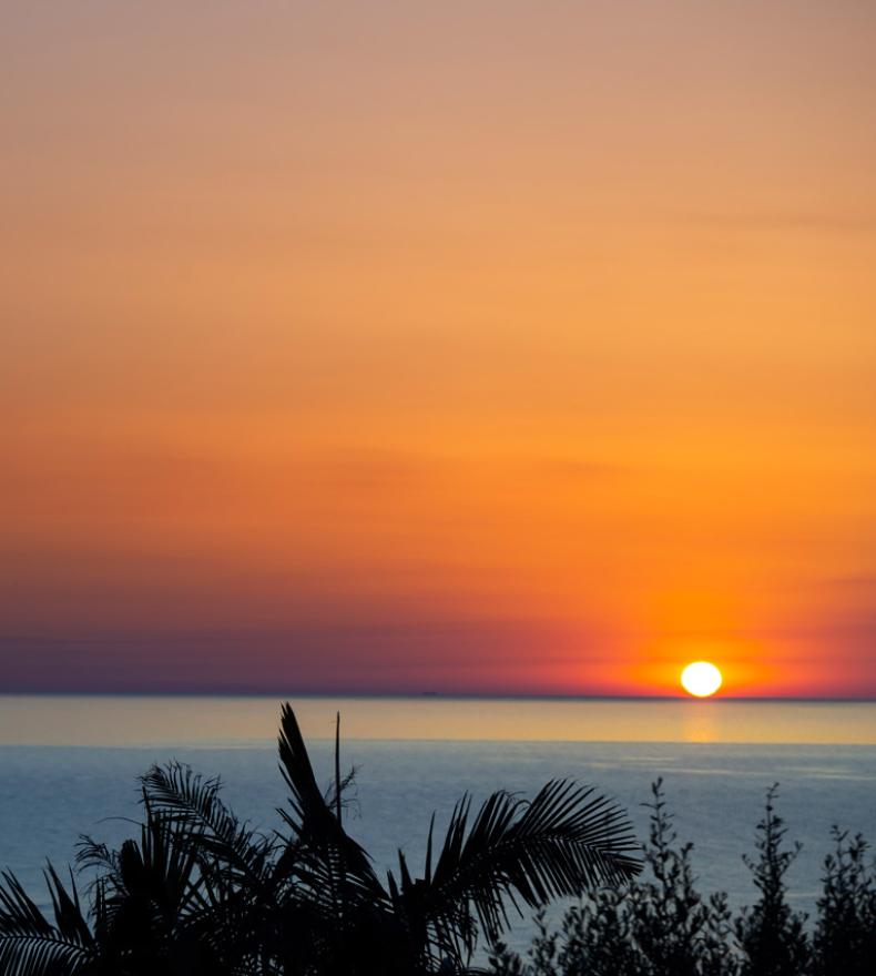 Tramonto sul mare con vulcano in lontananza e palme in primo piano.